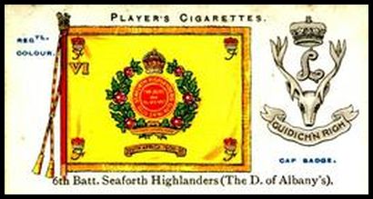 31 6th Battalion Seaforth Highlanders (The D. of Albany's)